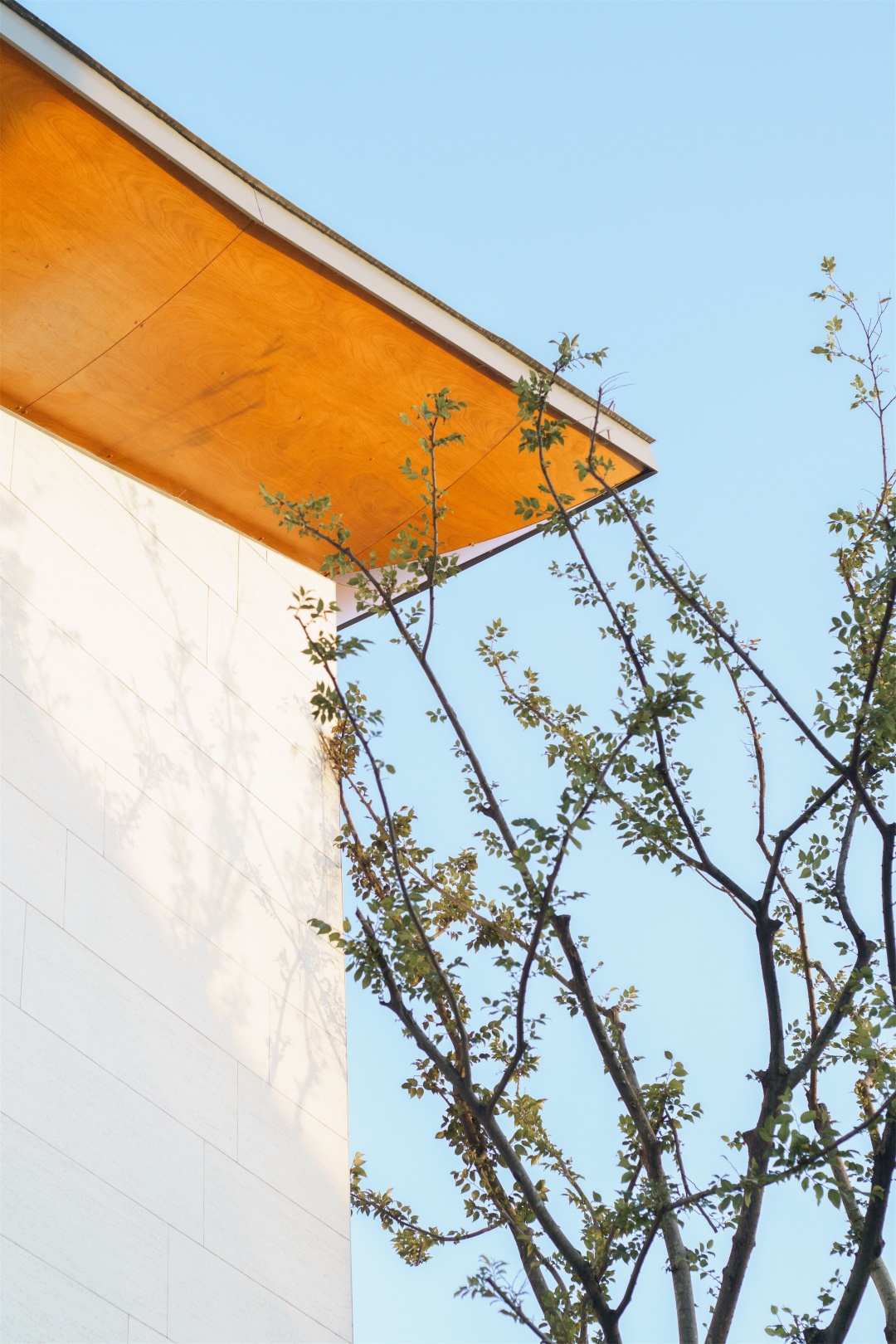 南通常乐镇张謇故里小镇無终·艺术中心丨中国南通丨夏谷暑雨-37