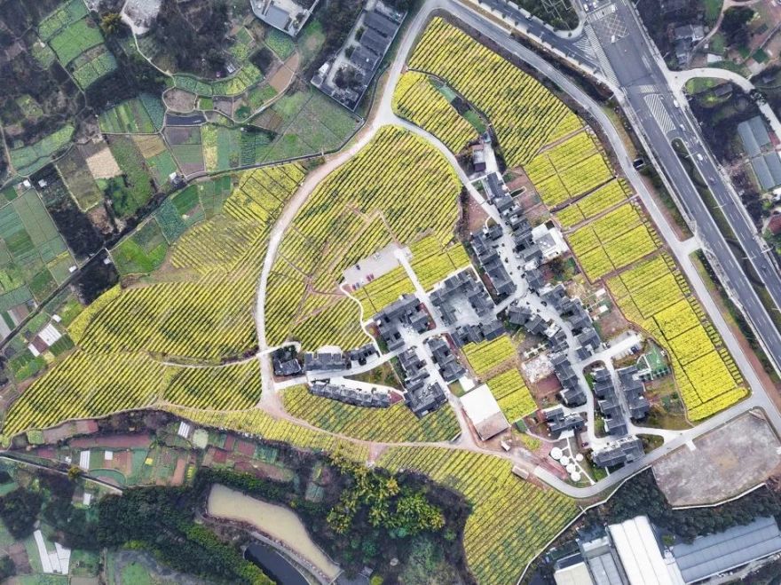 天府新兴·和盛田园东方 | 川西林盘上的城乡融合实验-18