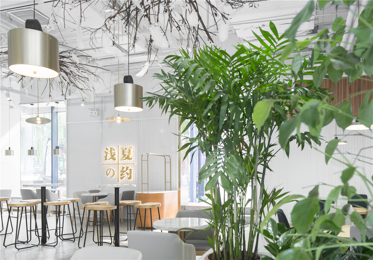 浅夏之约济南店-19