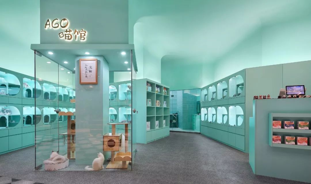 未耒 | 蓝绿矩阵 猫咪丛林-9