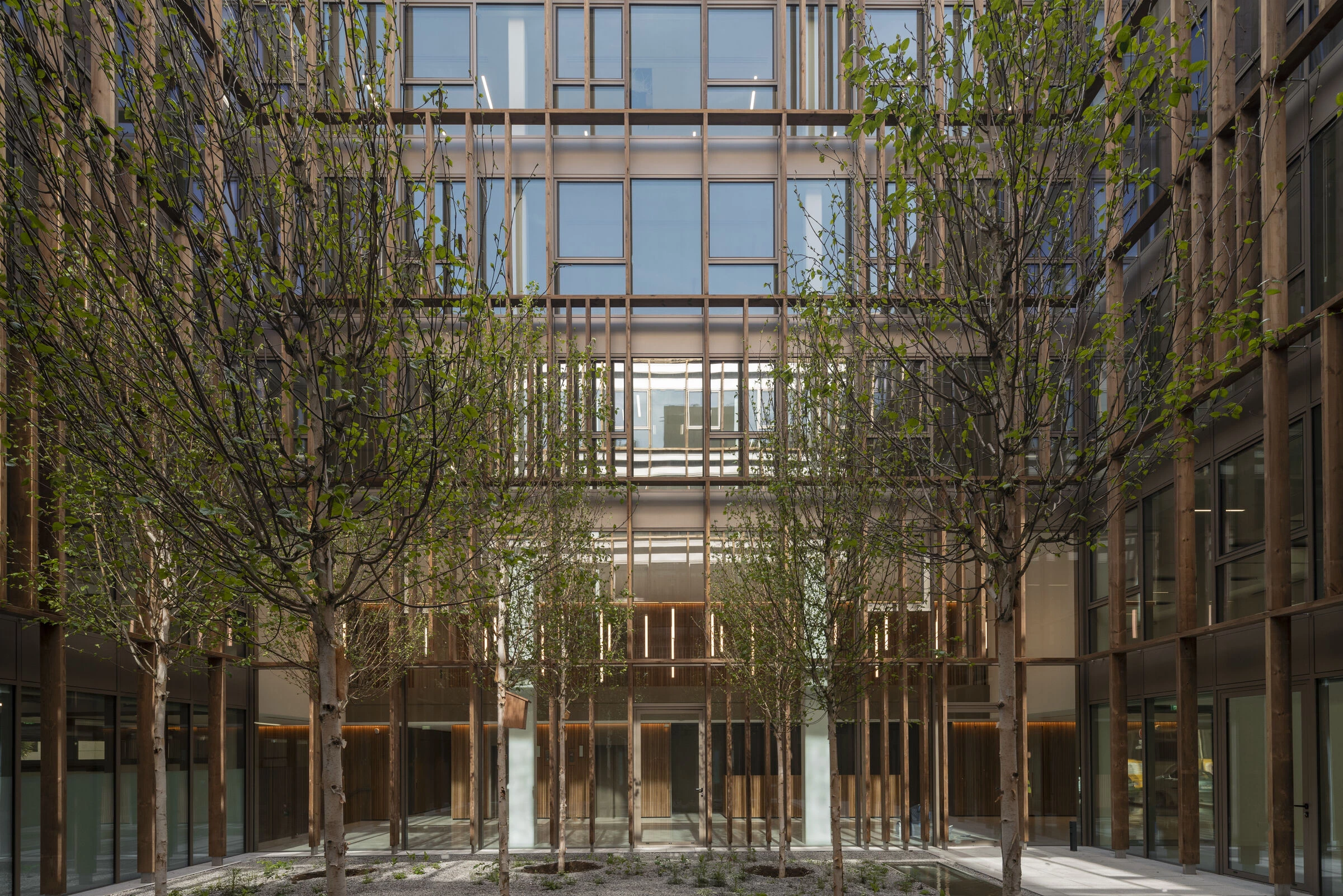 维勒勒维克街的翻修丨法国巴黎-5