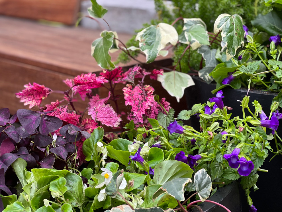 Williamsburg新公寓荫蔽花园丨美国纽约-39