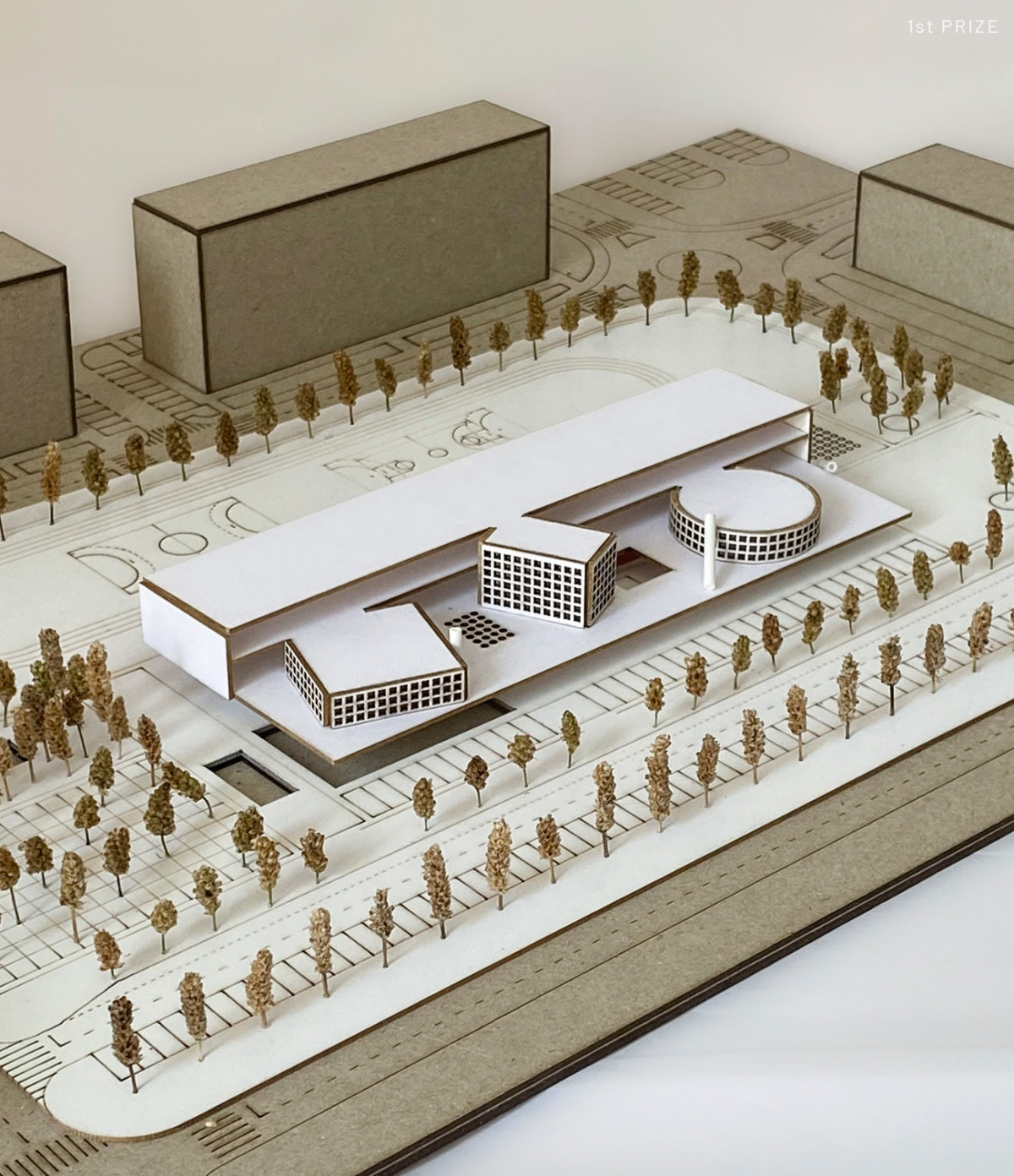 Podgorica新小学建筑设计丨来自黑山和匈牙利的建筑师团队（Mirko Popović等）-10