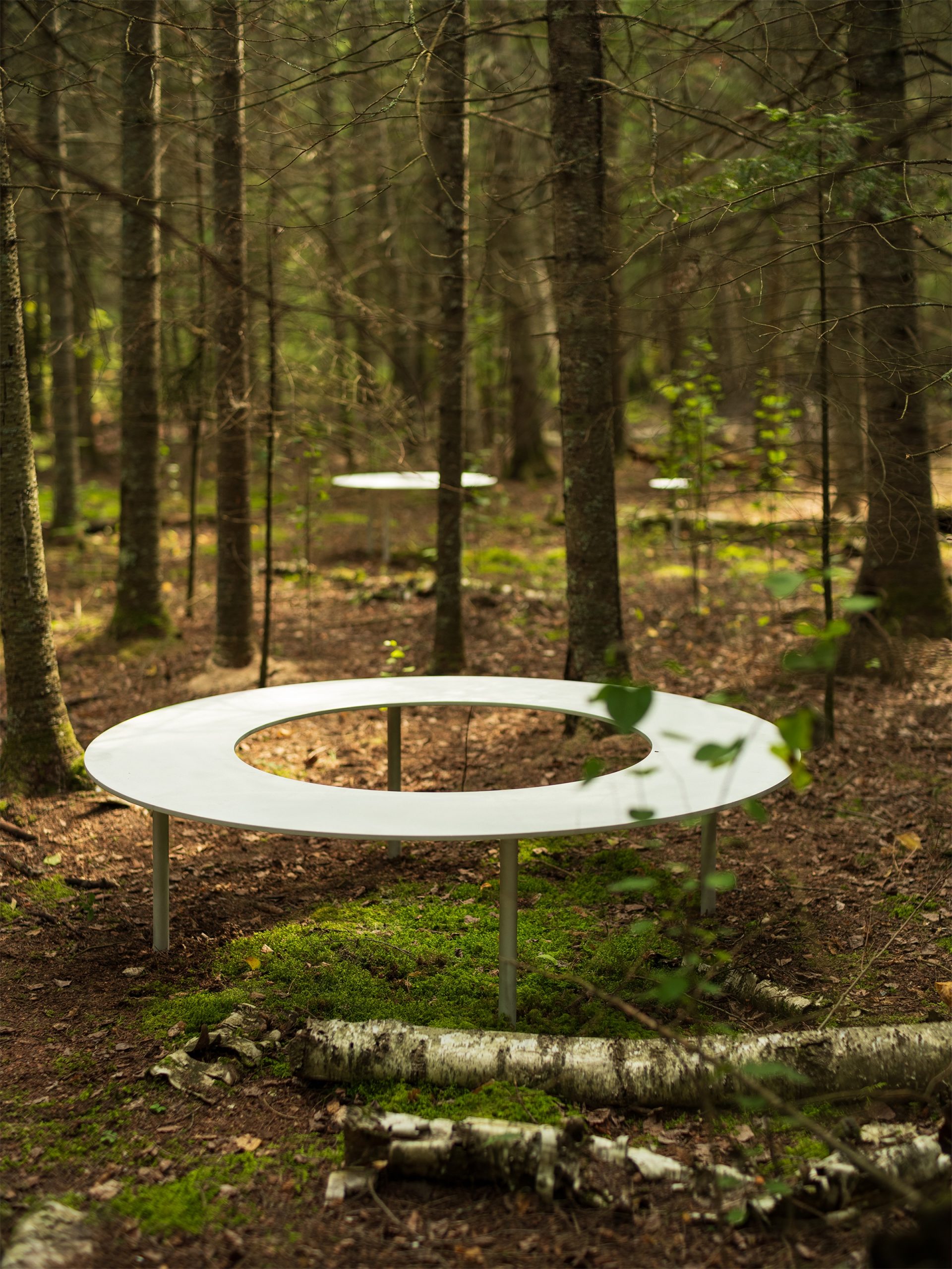 嵌套循环丨加拿大维多利亚丨Thom Fougere-5