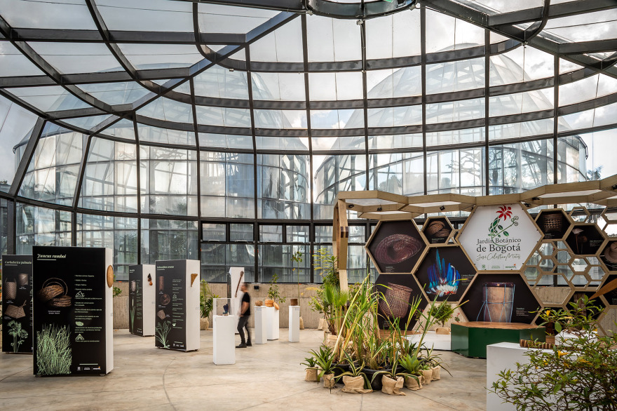 圣菲波哥大热带植物园丨哥伦比亚丨DARP-52