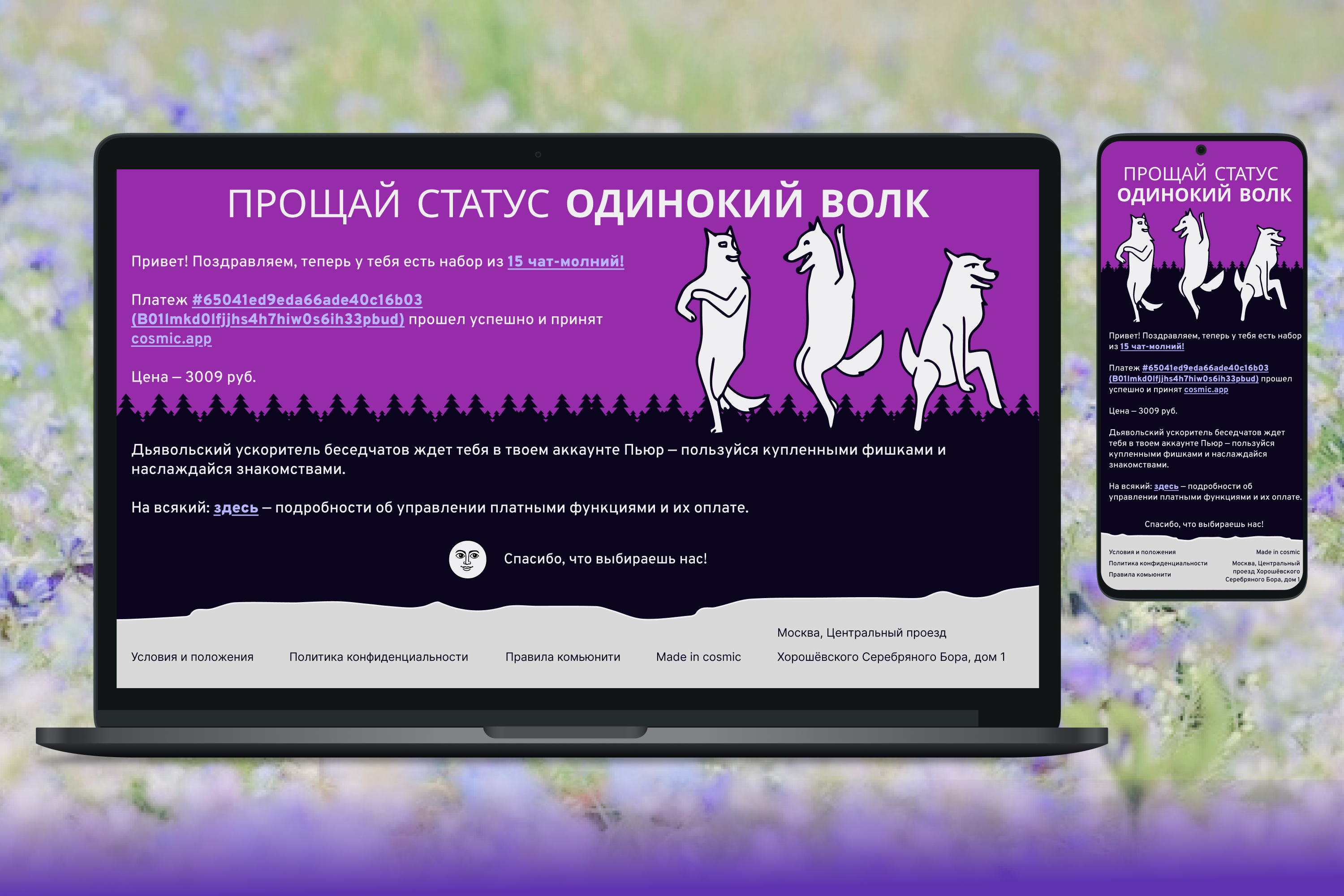 Newsletter templates for DATING APP-2