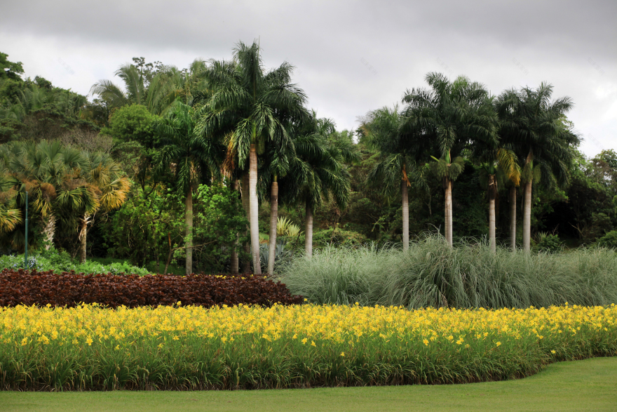 Araraquara航海俱乐部景观设计-47