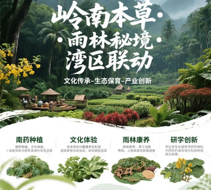 南方城市群中医药文化沉浸式农文旅示范园规划与运营-7