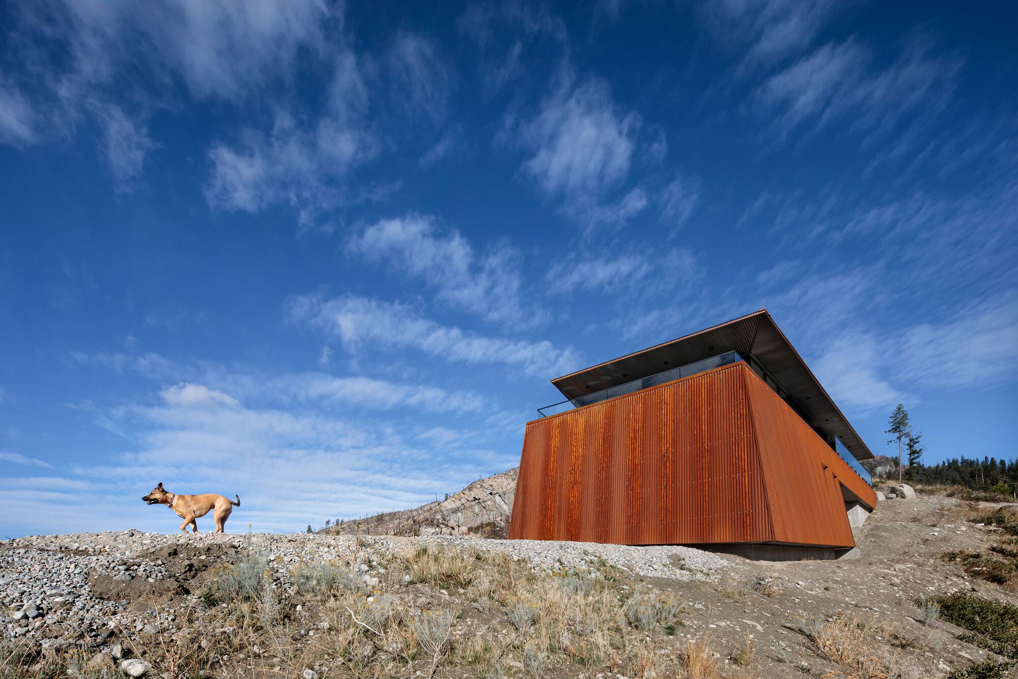施洛特费尔特住宅丨Canada丨Omar Gandhi Architect-42