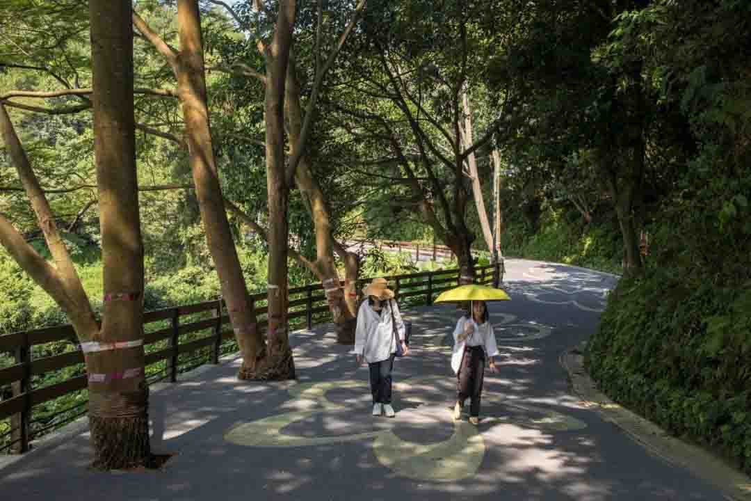 深圳光明小镇三桥与绿道景观-19