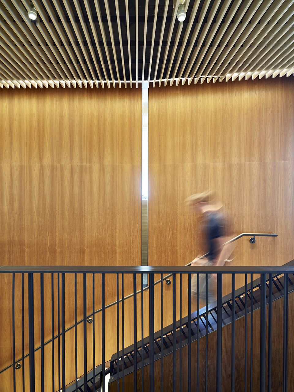 西雅图Tommy Bahama办公室 | SkB-8