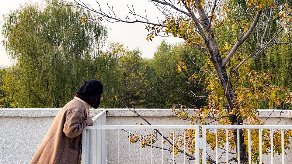 奥北森林公园二期景观及景观建筑系列丨中国北京丨北京北林地景园林规划设计院有限责任公司,北林风景建筑研究中心-87