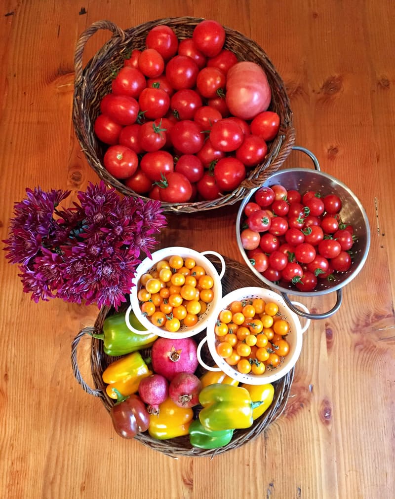 加利福尼亚住宅后院花园及步道改造项目丨美国加利福尼亚-16