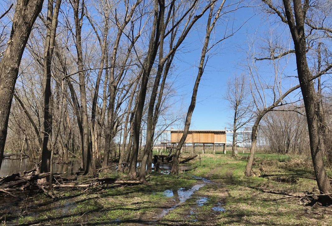 爱荷华州玻璃小屋，环保设计融入大自然-52