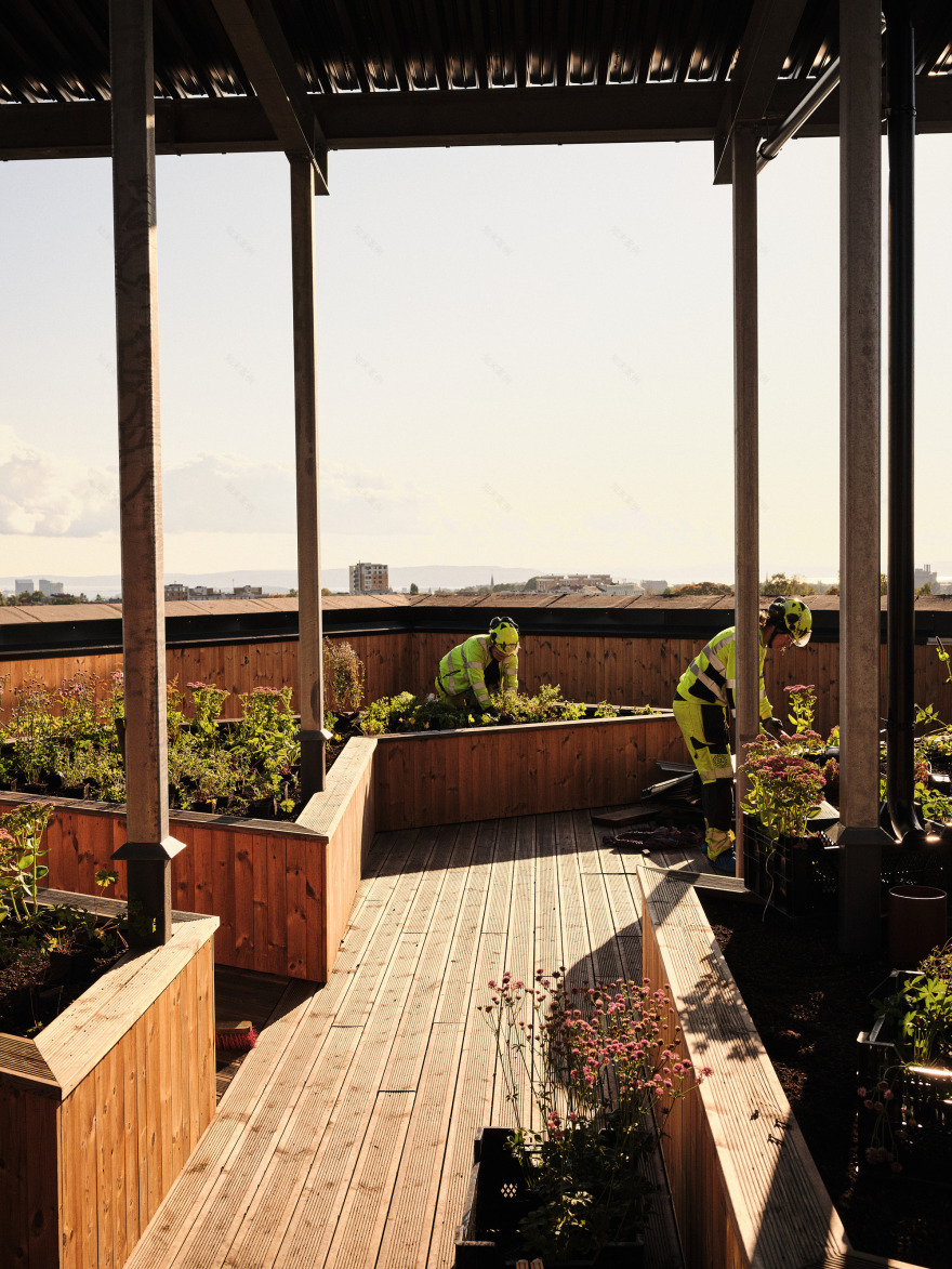 垂直尼达伦丨挪威丨Snøhetta-67