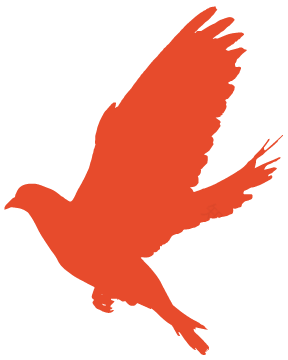 这支党支部勇站C位!-47