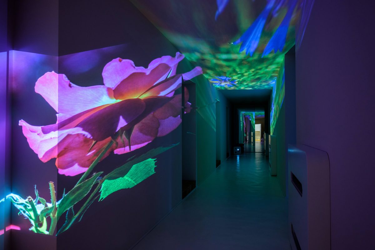 HOTEL CASTELLO DI SOLFAGNANO | Simone Micheli Architectural Hero-1