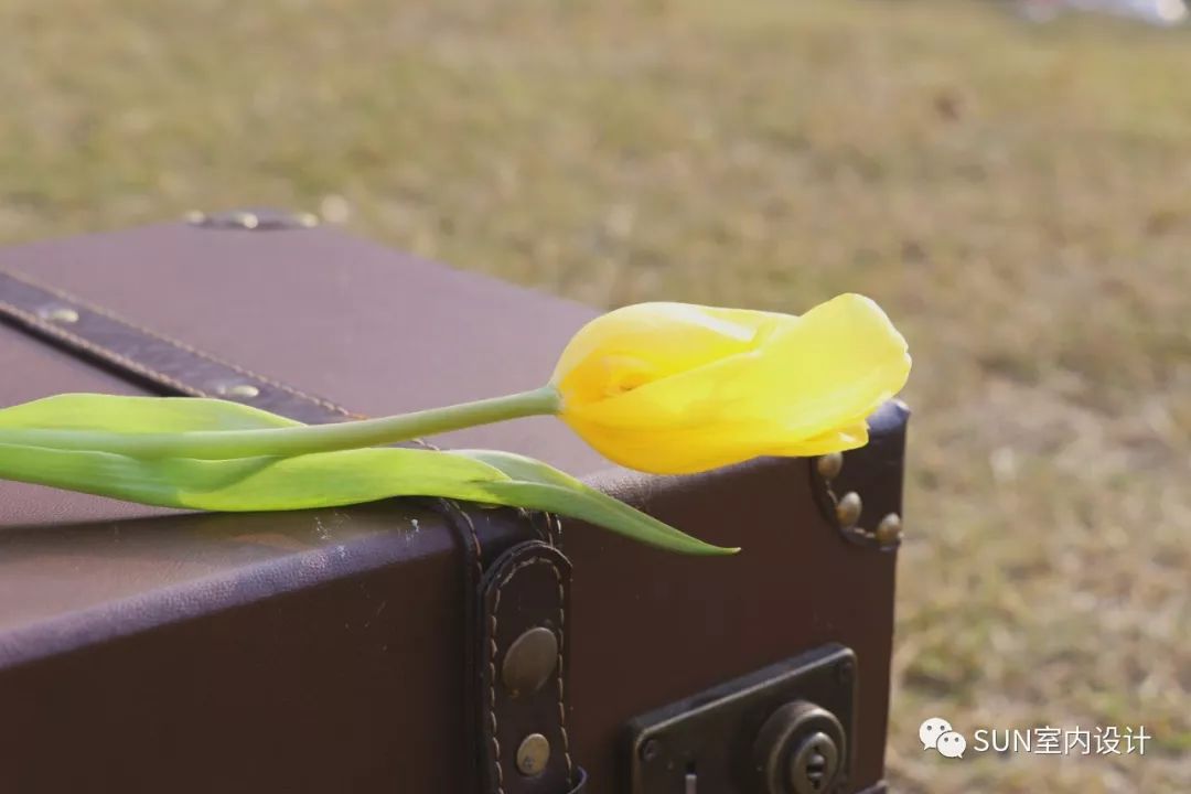 秋日山谷露营记 | 自然与诗意的完美融合-31