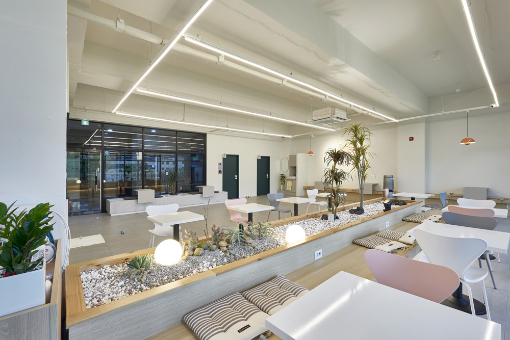 现代简约 45 平爱犬咖啡厅 爱犬酒店内饰设计案例-6