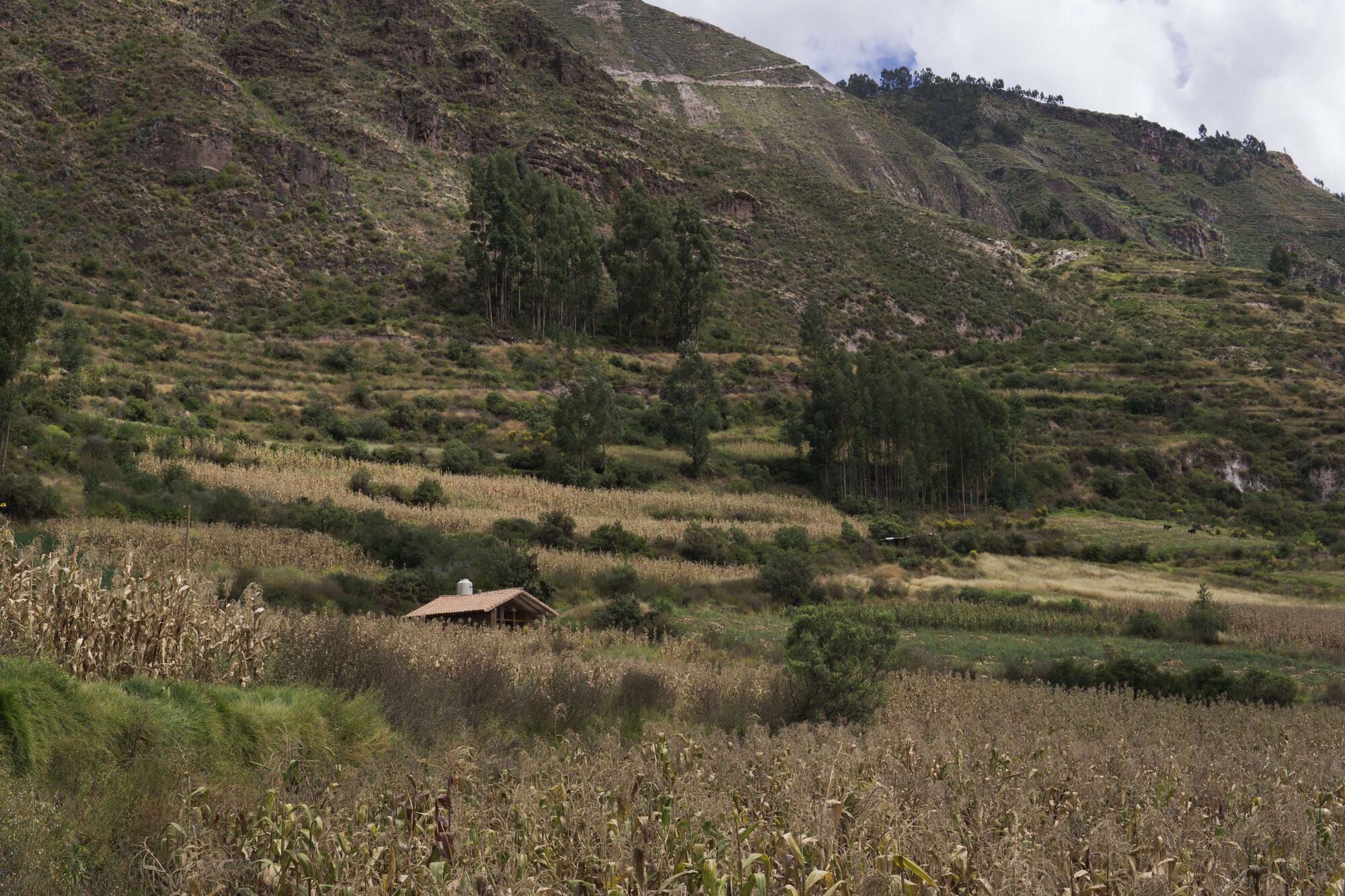 费利西亚纳小屋丨秘鲁丨Taller MACAA-33