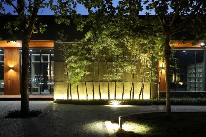 郑州经开区朝凤路景观提升改造 | 自然与艺术的融合-20