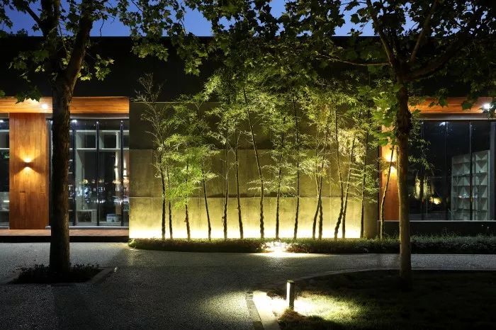 郑州经开区朝凤路景观提升改造 | 自然与艺术的融合-20