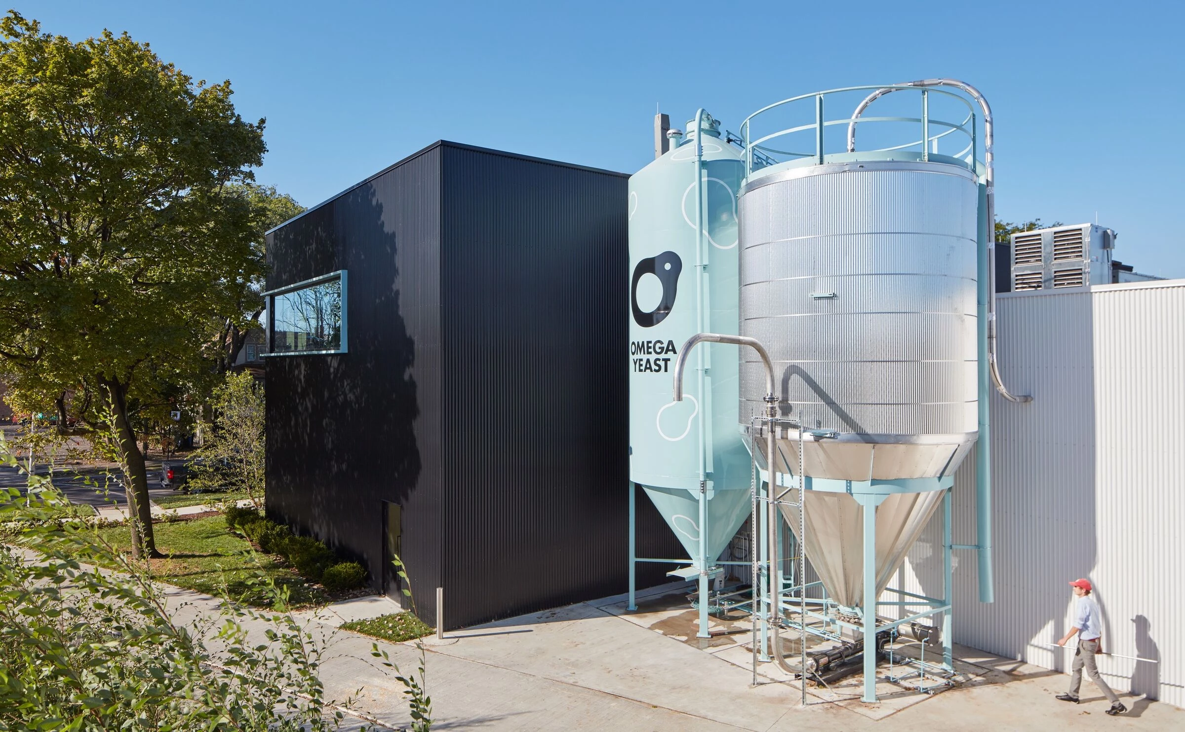 欧米茄酵母丨美国芝加哥丨Valerio Dewalt Train-11