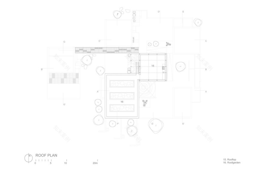 墨西哥 Ballena 艺术中心 | 自然与艺术的完美结合-52
