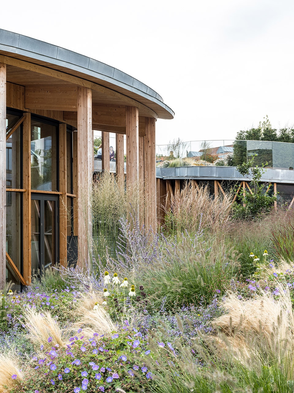 隈研吾新作 | H.C.安徒生博物馆,丹麦-25