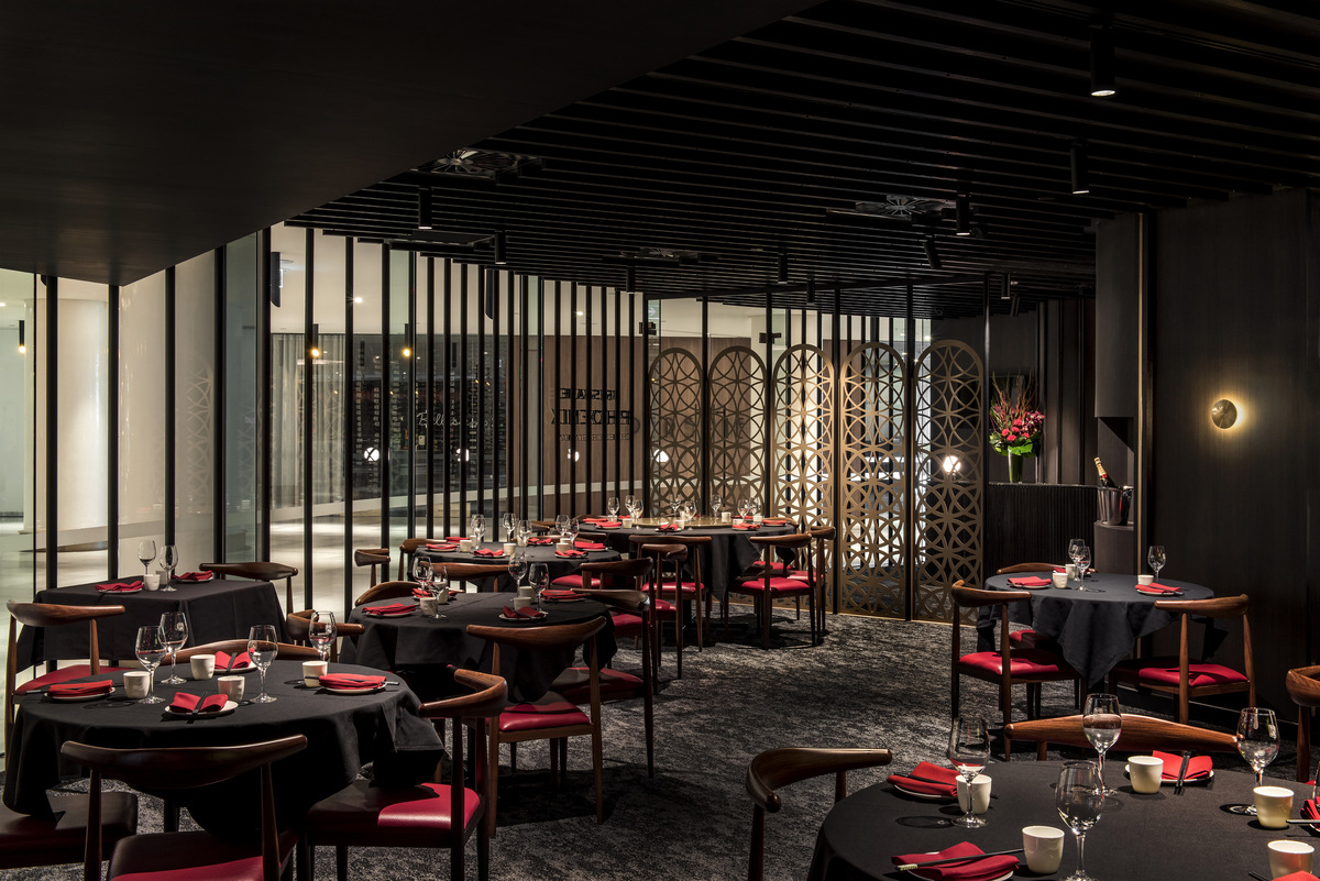 布里斯班菲尼克斯-8