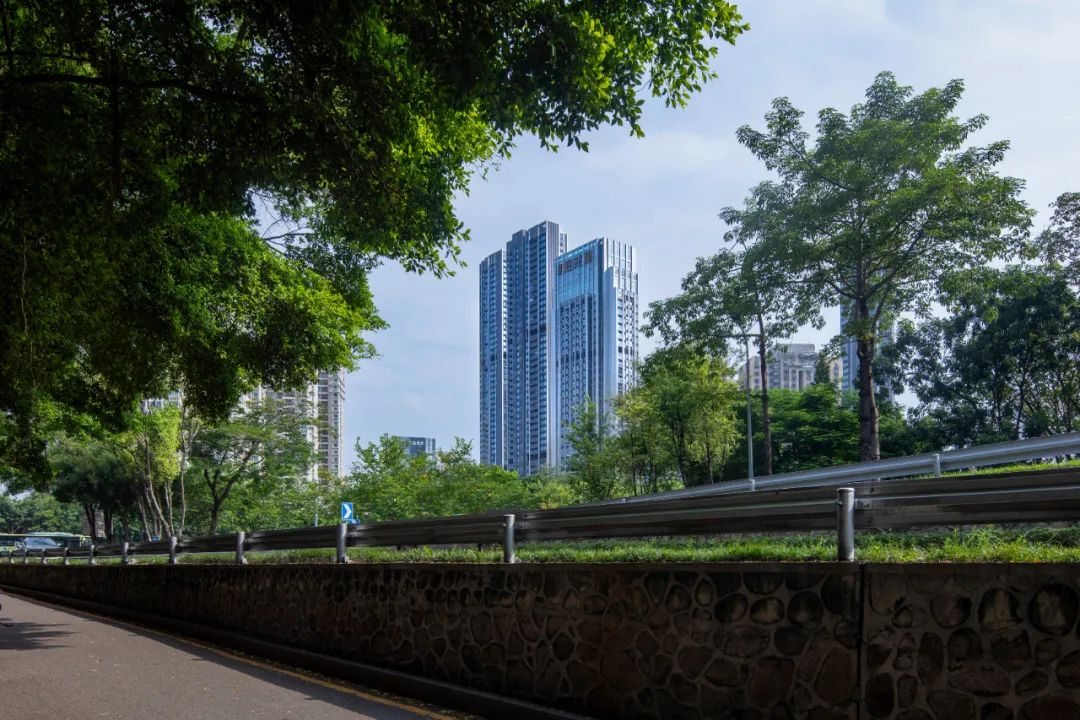 深圳·独树阳光里丨中国深圳丨柏涛建筑设计(深圳)有限公司-26