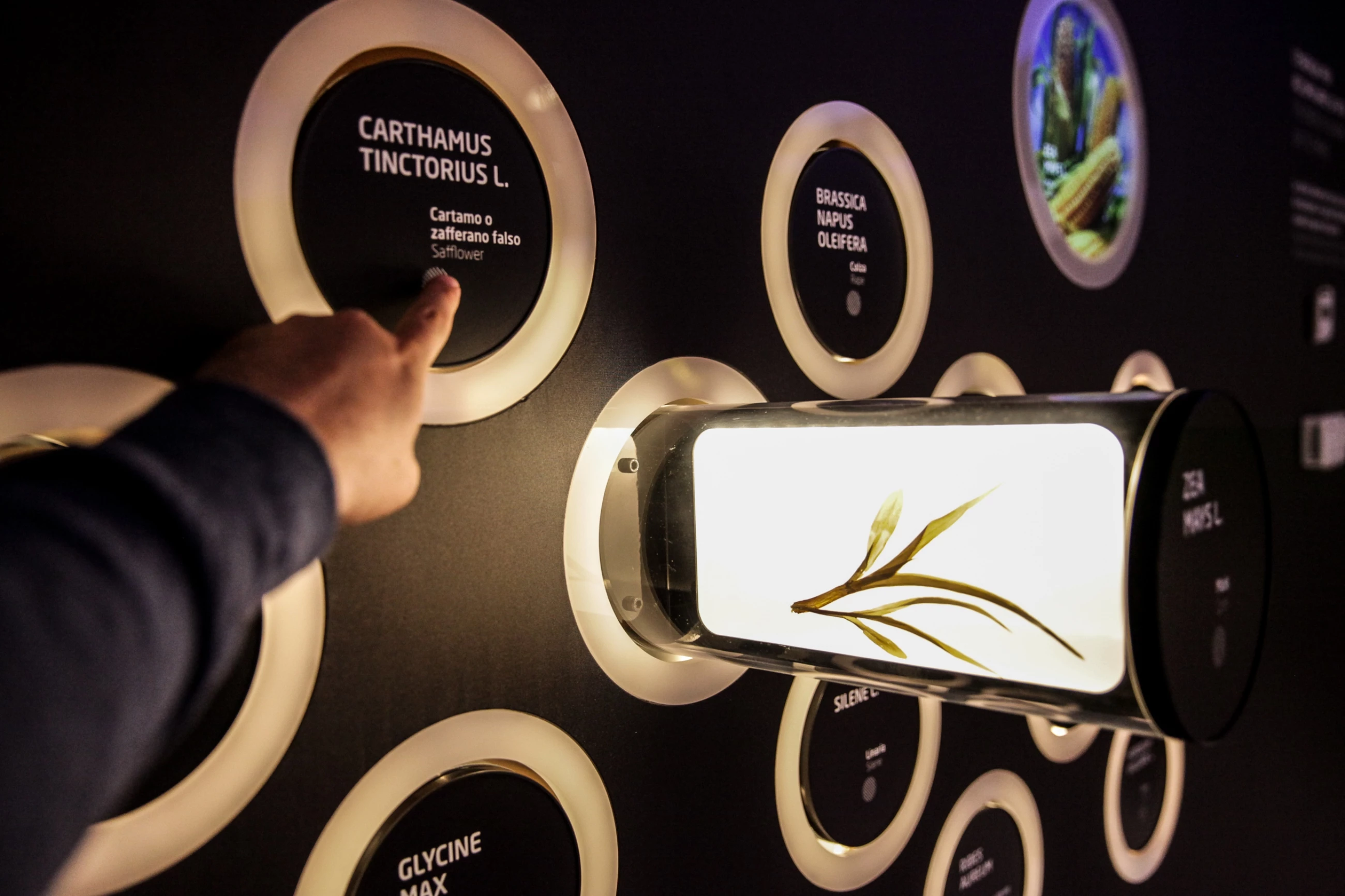 哈萨克斯坦 2015 世博会展馆 | 呈现传统与现代的和谐共生-17