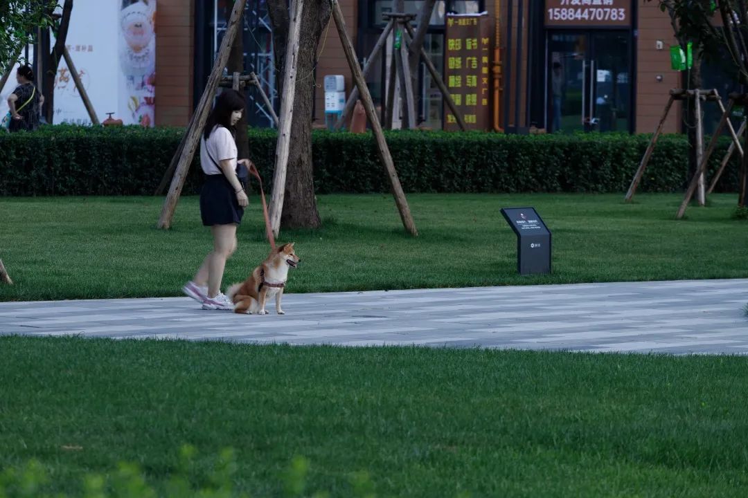 住区与城市空间的融合 | 万科天荟（大区）-51