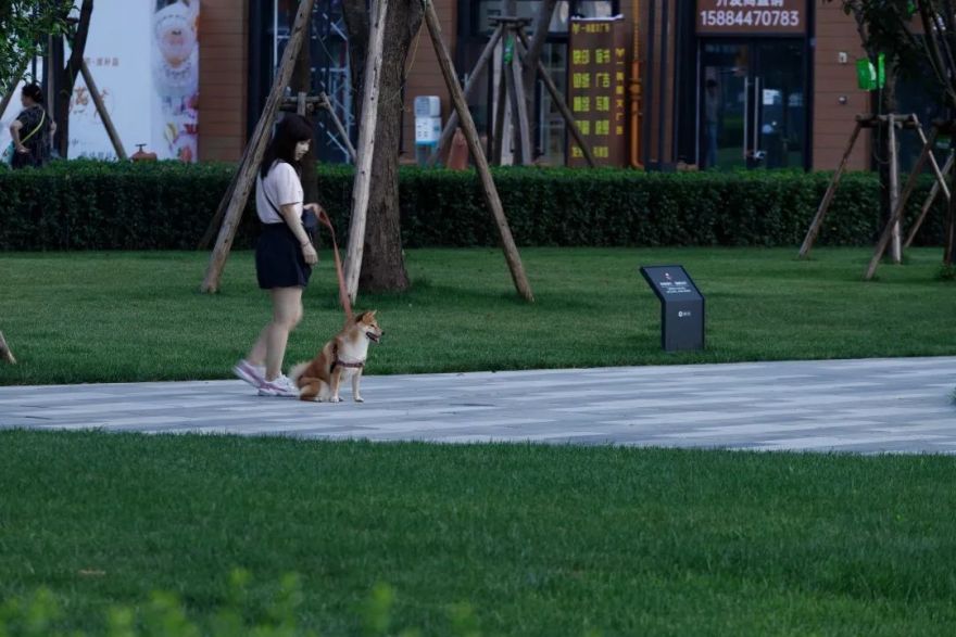 住区与城市空间的融合 | 万科天荟(大区)-51