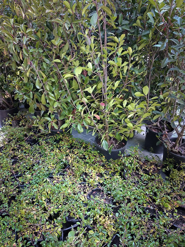 店铺景观设计-24