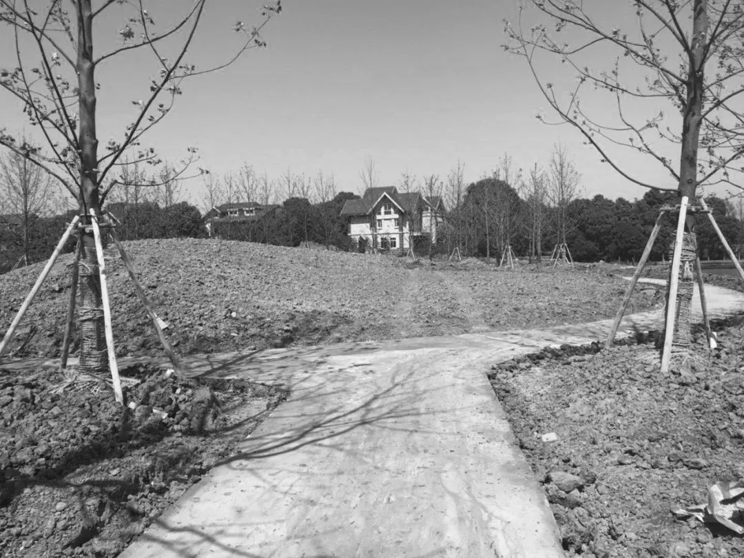 《雁归来》 | 水乡文化的现代解读-148