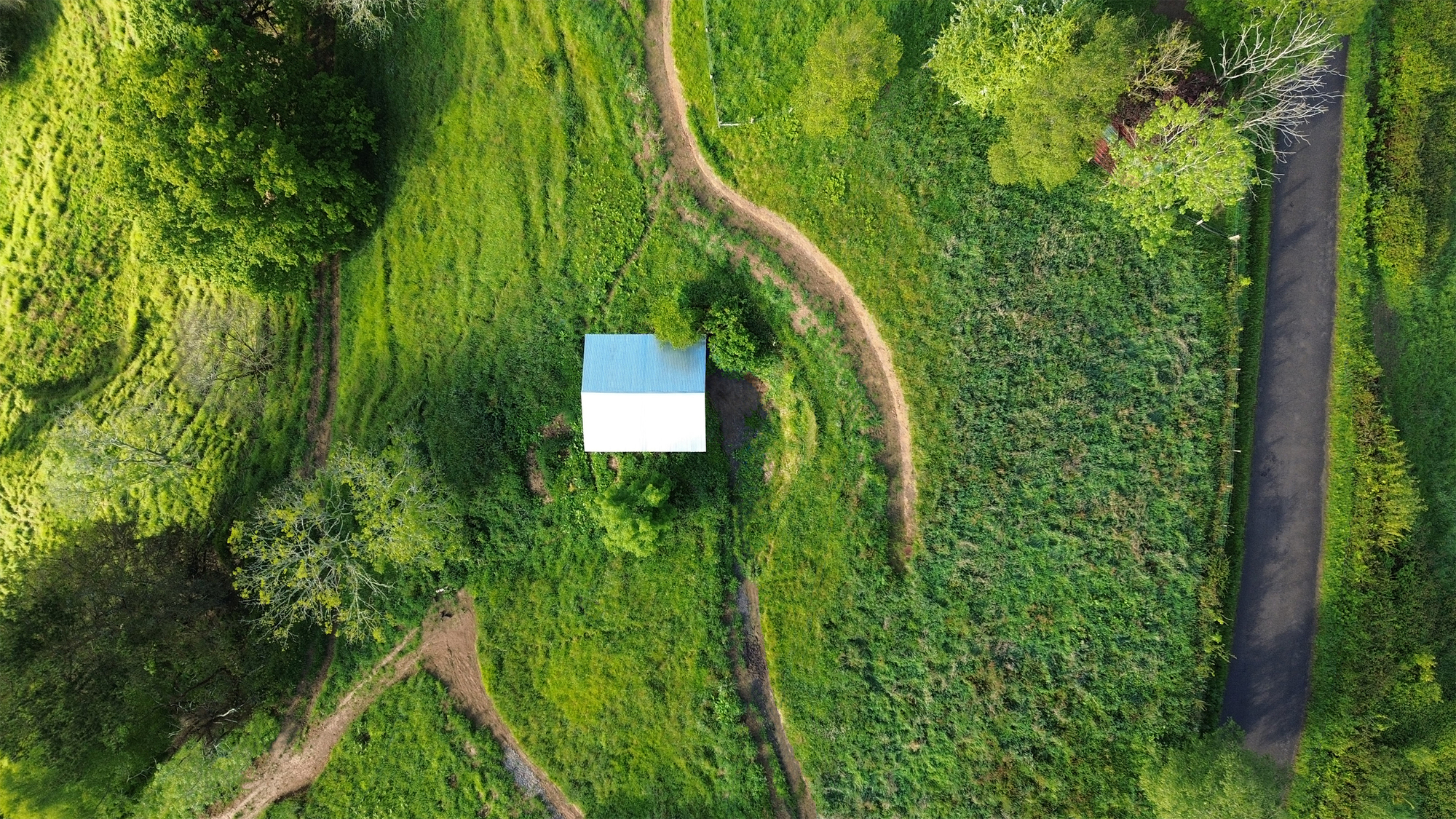 Taller Agropoetico - Foresta Collective / Atelier Poem-7