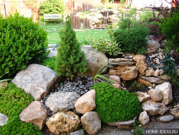 自制阿尔卑斯式假山(阿尔卑斯式花坛)-115