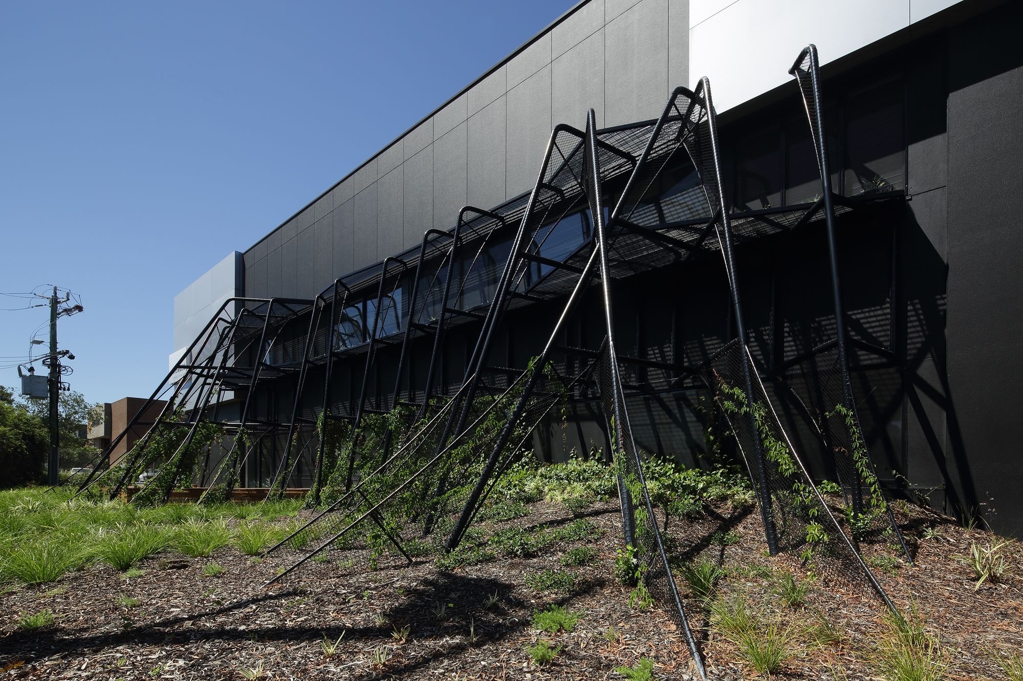 梅尔罗斯健康-10