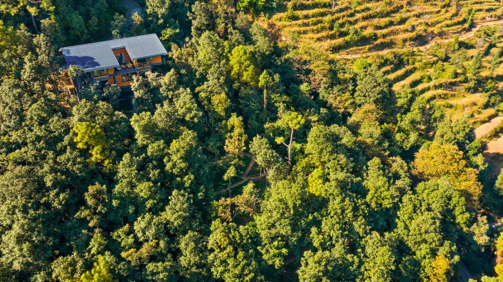 森林中的别墅丨印度丨Studio Lotus-48