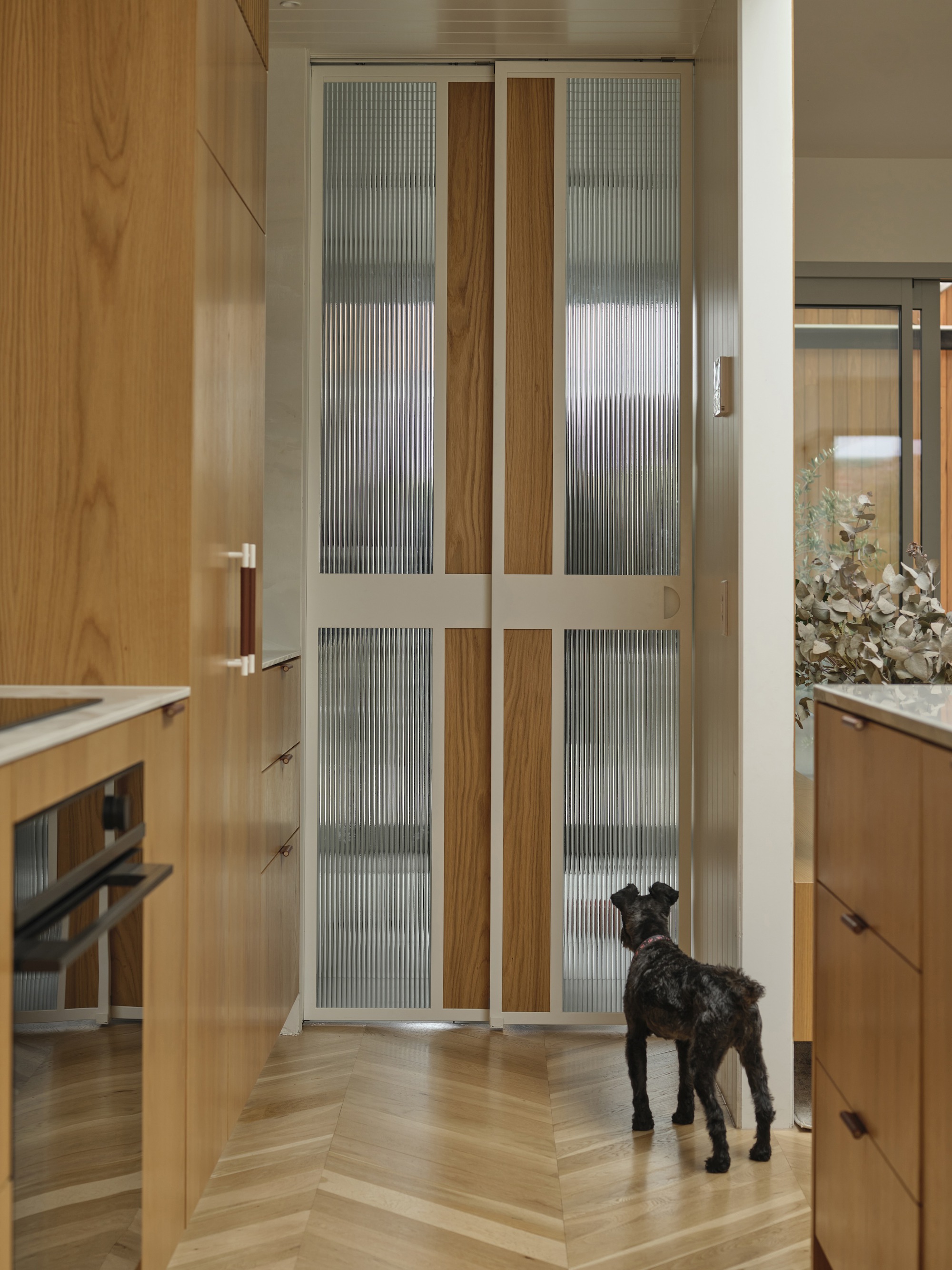 之字形房屋丨澳大利亚丨Dan Gayfer Design-27