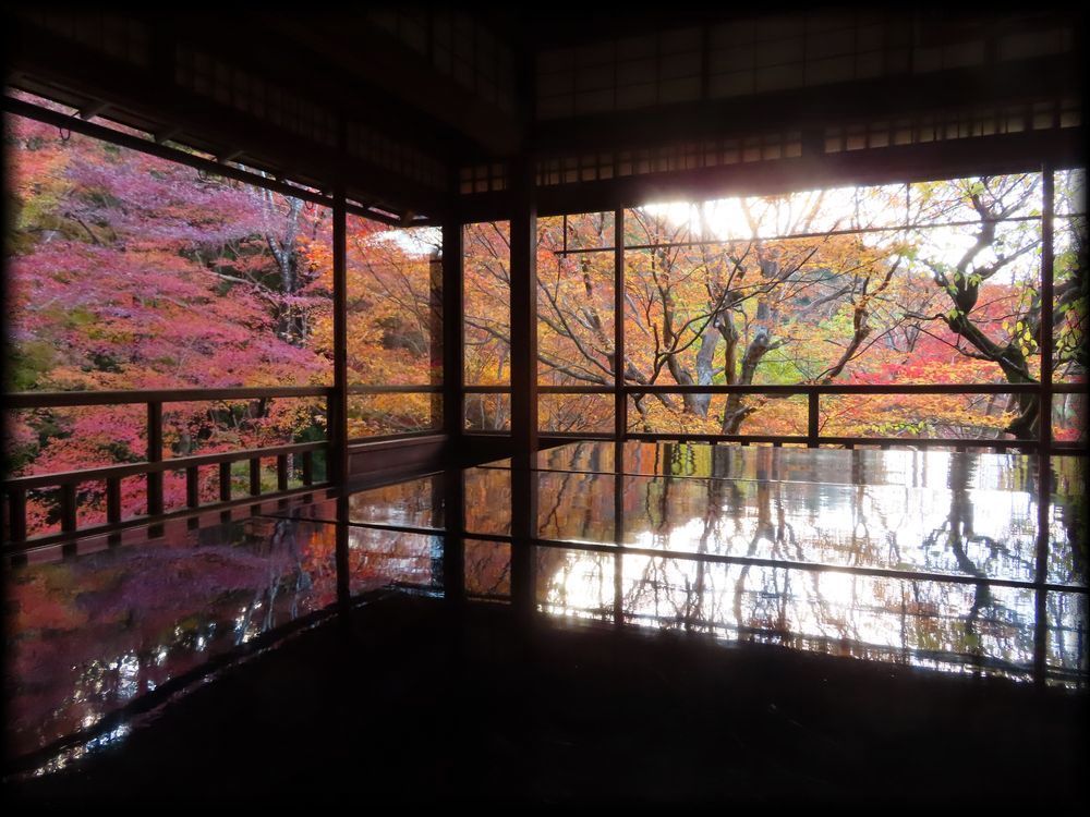 瑠璃光院（旧高级旅馆「喜鶴亭」）丨日本京都-5