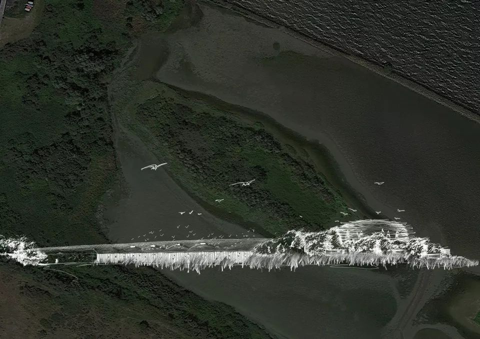 荷兰"鸟蛋"观鸟屋，生态与设计的完美结合-60