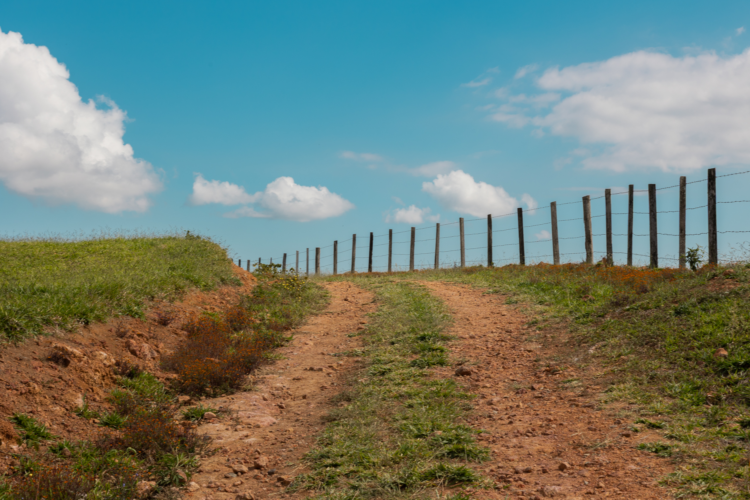 教堂建筑丨Oscar Niemeyer-4