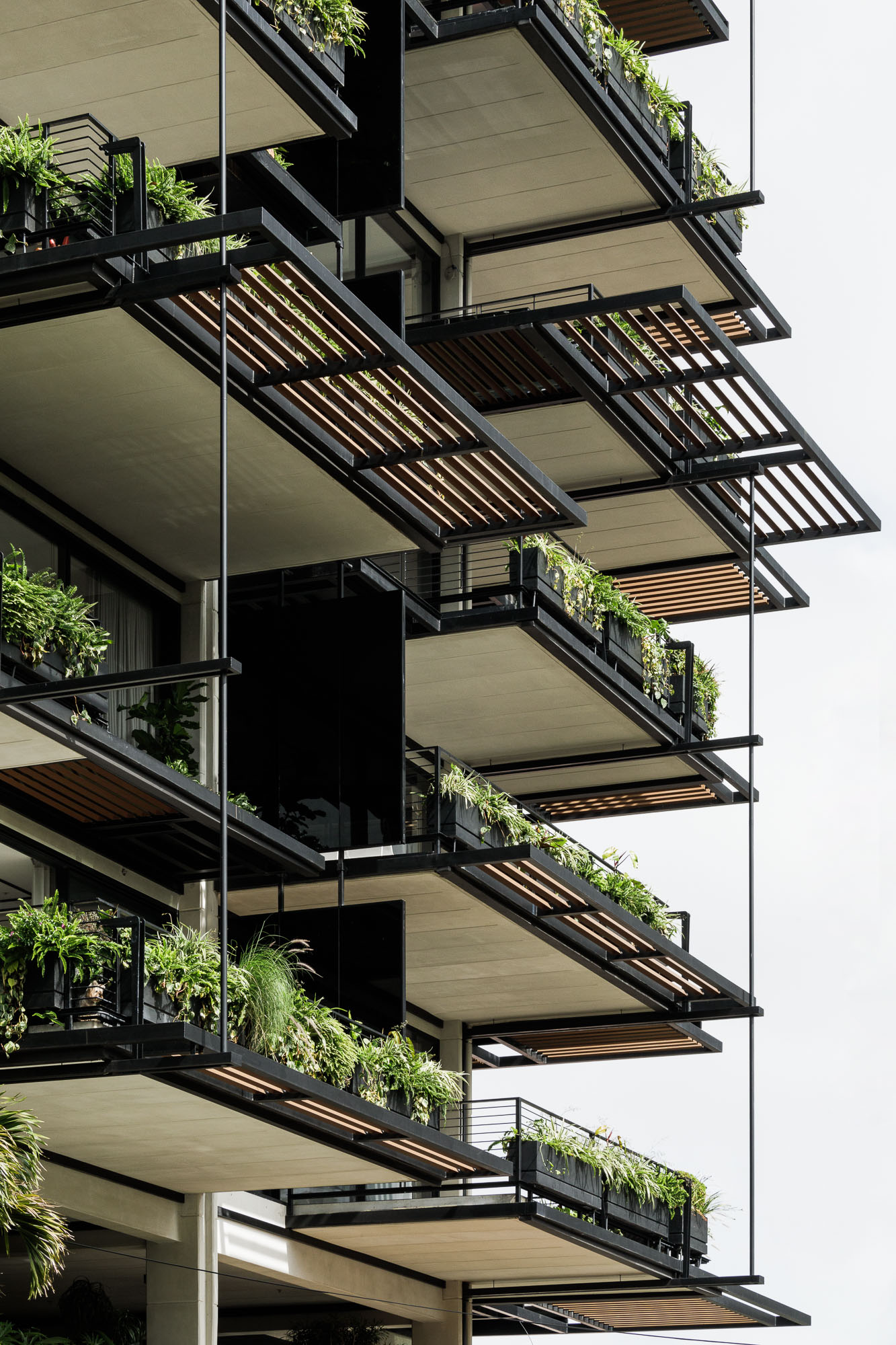 栀子丨哥斯达黎加圣何塞丨Studio Saxe-37