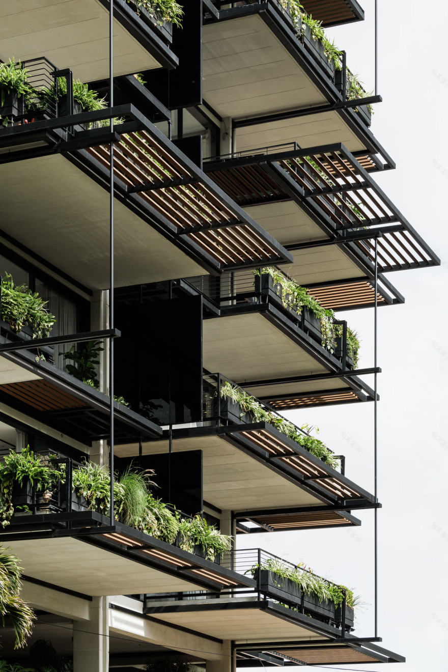 栀子丨哥斯达黎加圣何塞丨Studio Saxe-37