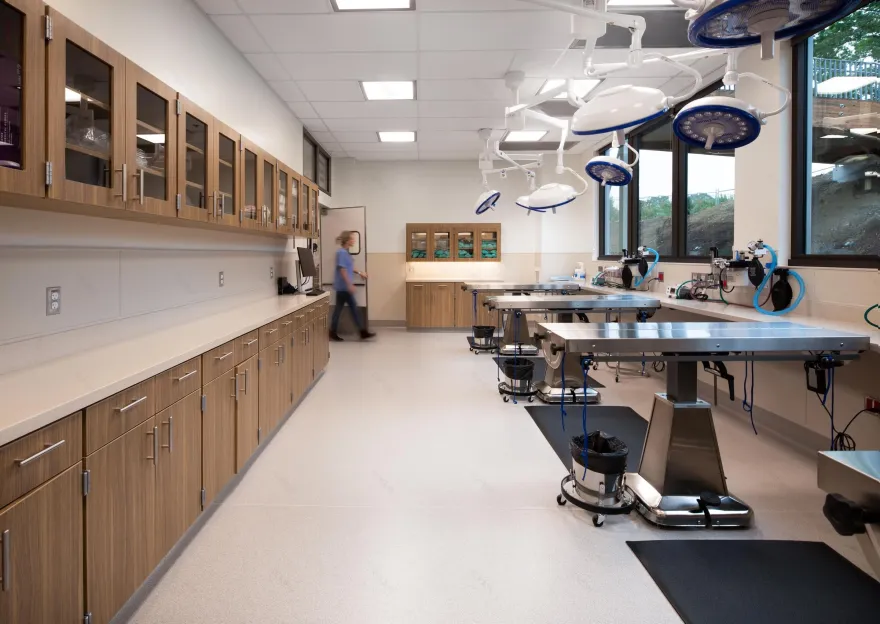 俄勒冈人道协会丨美国波特兰丨Scott Edwards Architecture-15