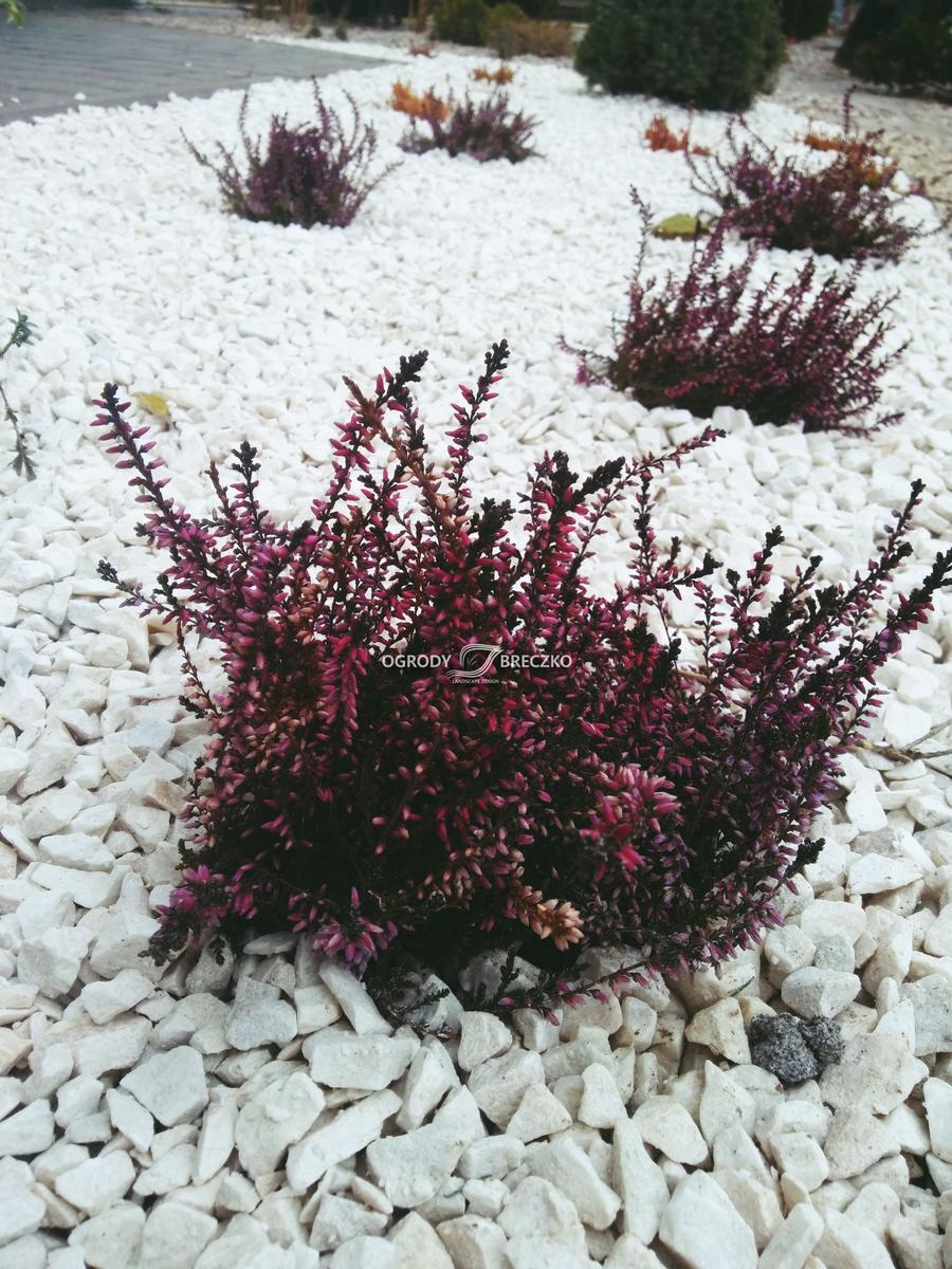 METAMORFOZA OGRODU - ARCHIUP - A FREE BIM & CAD OBJECTS LIBRARY-7