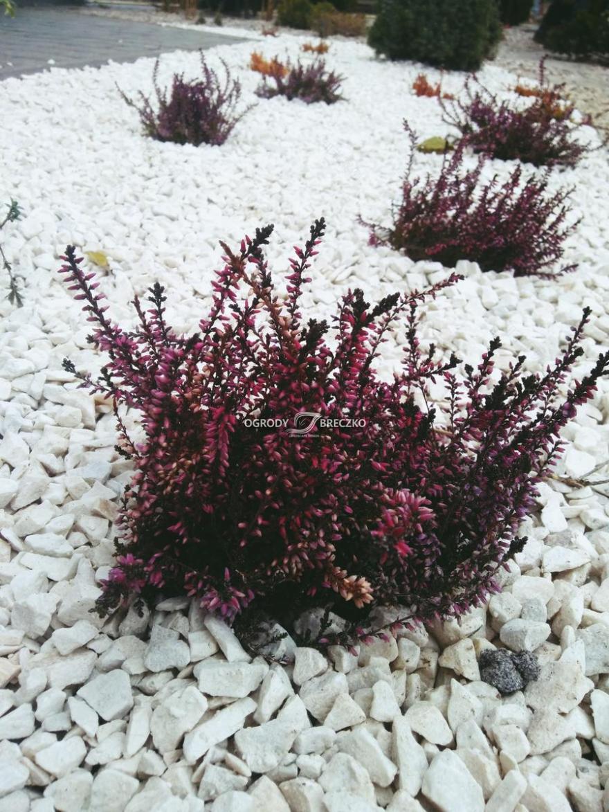 METAMORFOZA OGRODU - ARCHIUP - A FREE BIM & CAD OBJECTS LIBRARY-7