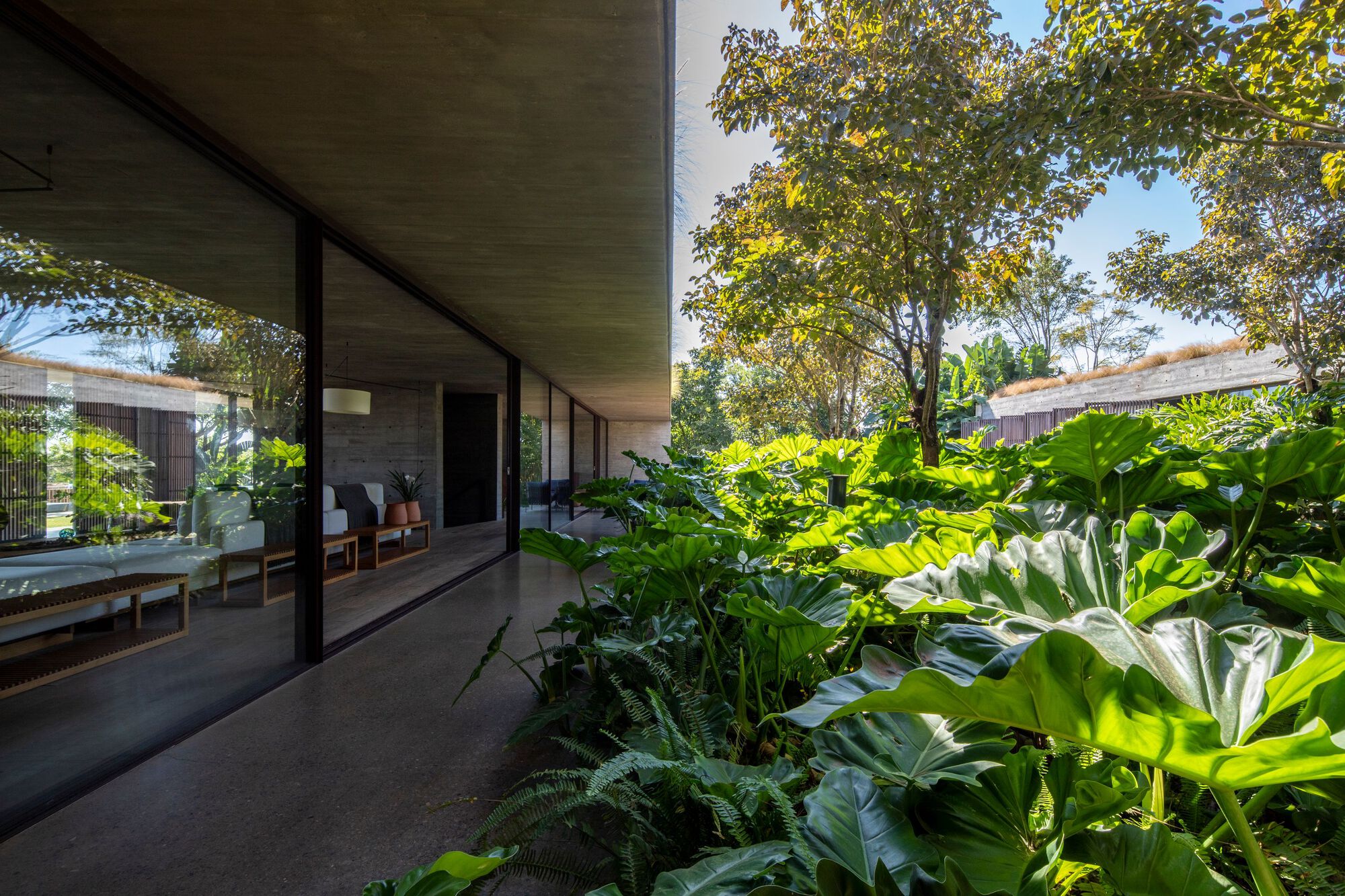 塞拉住宅丨巴西圣保罗-26